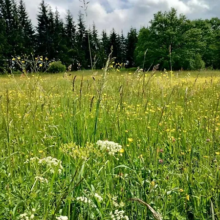 Sarovic Tara 2 Daire